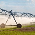 SA agriculture learning to dance with the wind