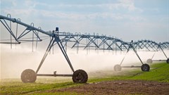 SA agriculture learning to dance with the wind
