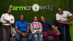Farmcrowdy Group partners Best Foods Fresh Farms