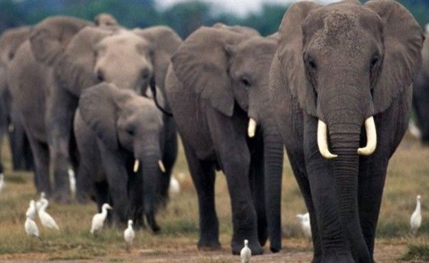 Image source: United Nations (UN)