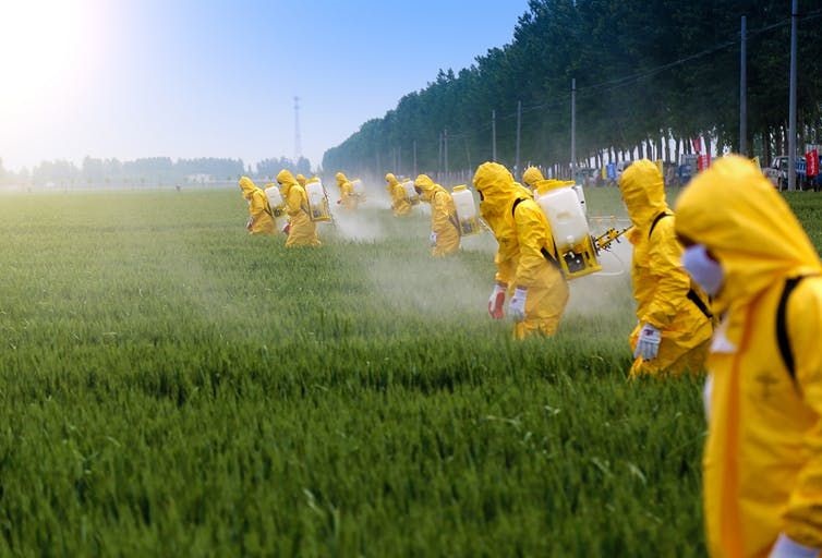 Pesticides being spread in a field. Most pesticide research is funded by the producers of the chemical products. Shutterstock