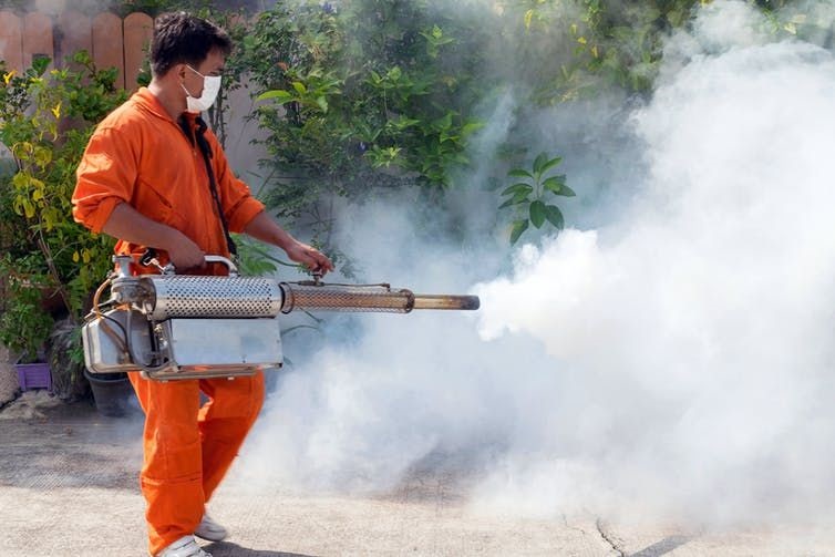 DDT is still being sprayed in villages in Thailand. The product kills mosquitoes responsible for malaria, encephalitis, dengue fever and Zika, but it has proven health risks. Shutterstock