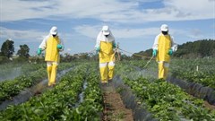 Pesticide research must stay transparent and independent
