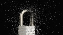 Image source: Gallo/Getty.