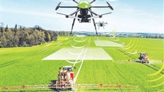 The future of AI in agriculture