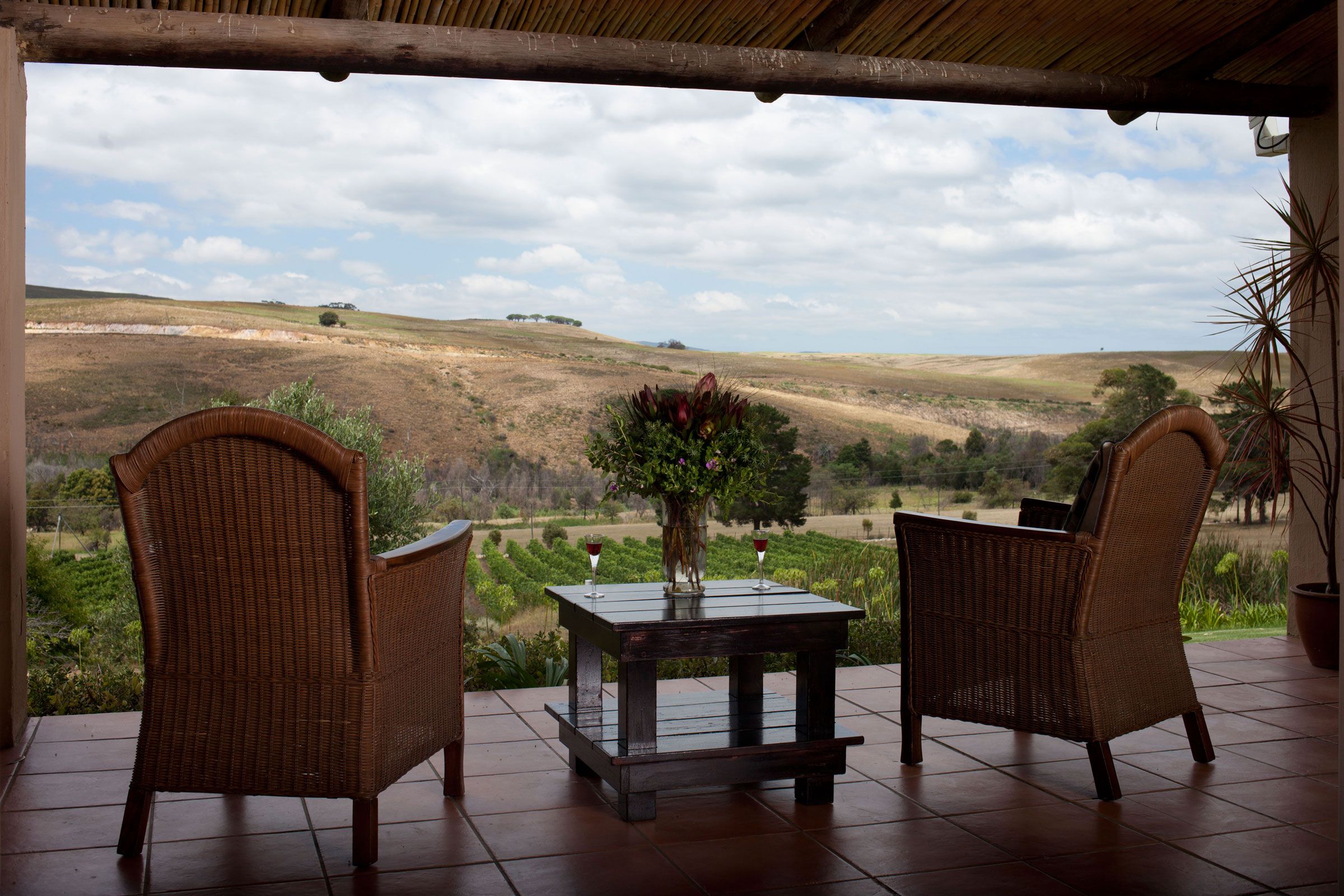All the rustic charm of Stanford's Blue Gum Country Estate