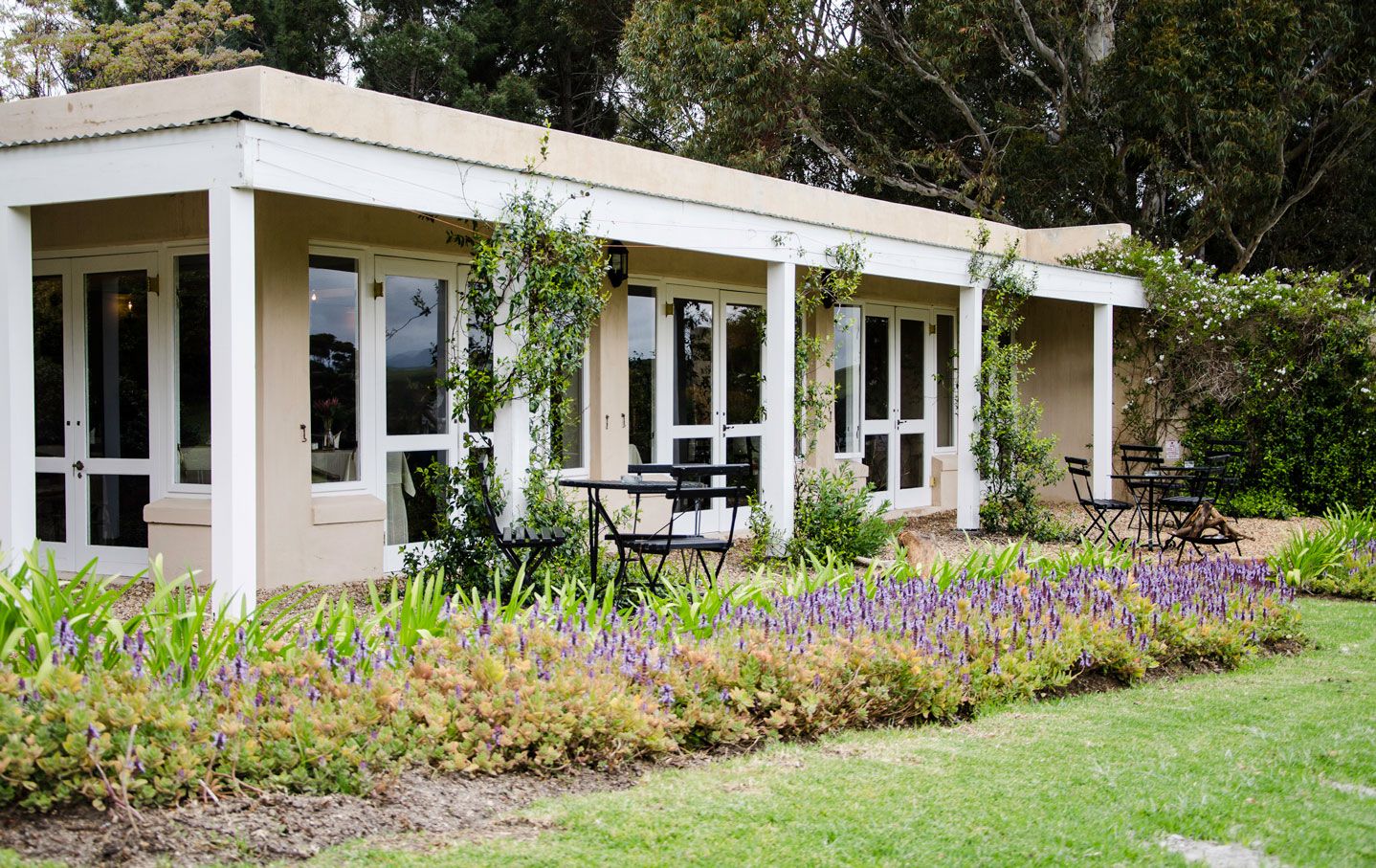 All the rustic charm of Stanford's Blue Gum Country Estate