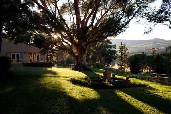 All the rustic charm of Stanford's Blue Gum Country Estate