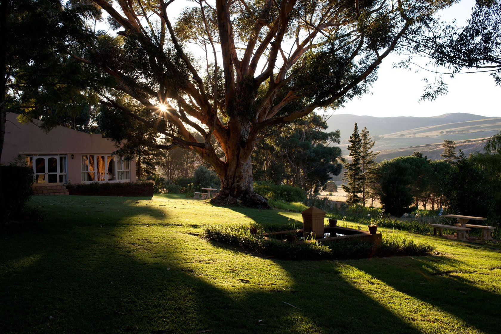 All the rustic charm of Stanford's Blue Gum Country Estate