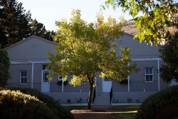 All the rustic charm of Stanford's Blue Gum Country Estate