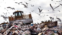 SCA upholds ruling against Interwaste