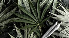 Image source: Getty/Gallo