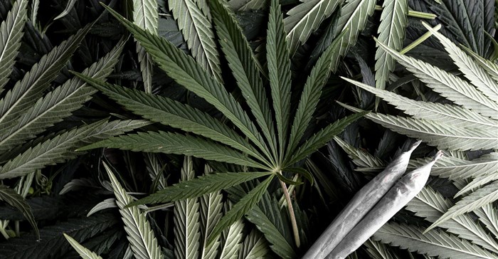 Image source: Getty/Gallo