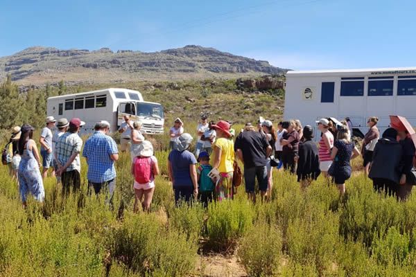 5 unique activities in Clanwilliam