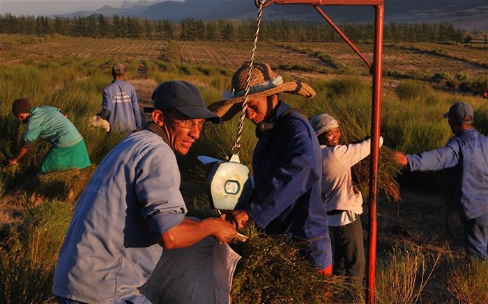 5 unique activities in Clanwilliam