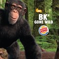 Burger King brings new kids campaign to life with augmented reality