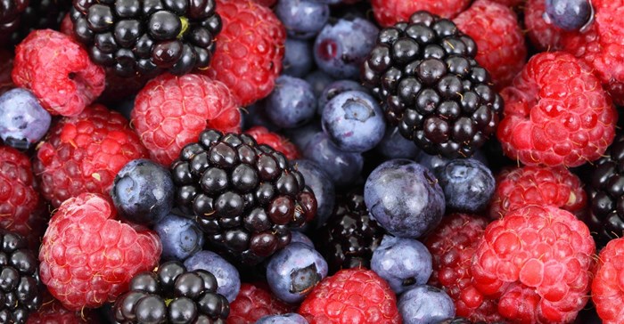 Key findings revealed: Report on US frozen fruit, juice and vegetable market