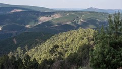 Cut the greenwash. Get the facts straight about paper and recycling