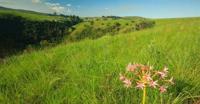 uMgeni Valley Nature Reserve. Image source: