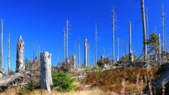 photographieundmehr via