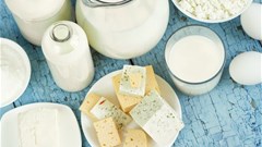 Lab-grown dairy: The next food frontier