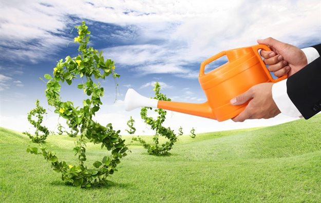 Calling SMEs: Applications open for CDI Growth Fund