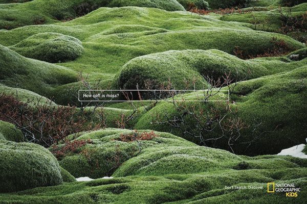 #CannesLions2019: Print & Publishing Lions shortlist