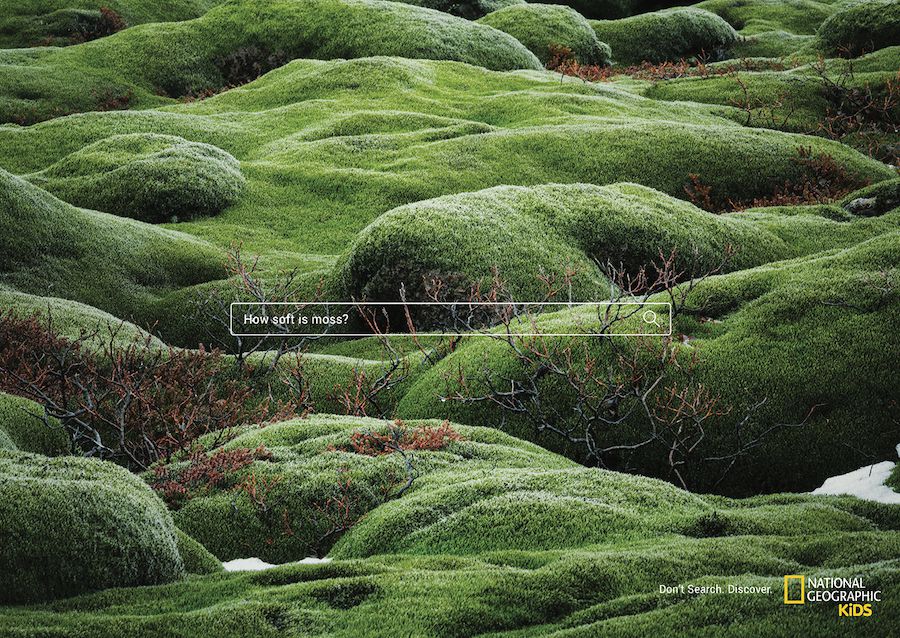 #CannesLions2019: Print & Publishing Lions shortlist