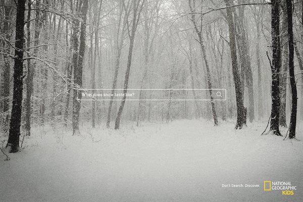 #CannesLions2019: Print & Publishing Lions shortlist