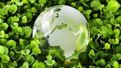 Image source: Gallo/Getty.