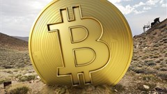 Image source: Getty/Gallo