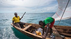 Integrated approach needed to aid conservation, health