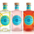 Pernod Ricard acquires super-premium Malfy Gin