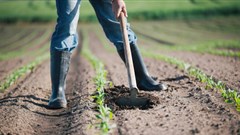 Western Cape farmers urged to join business chambers