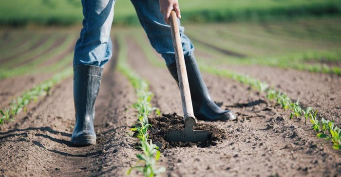 Western Cape farmers urged to join business chambers