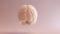 80's child/Shutterstock