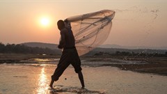 Zambia halts construction plans for hydropower dam on Luangwa River