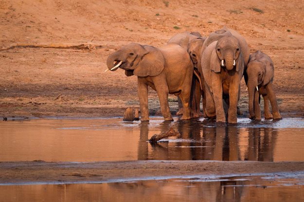 Zambia halts construction plans for hydropower dam on Luangwa River