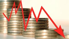 The fruit of your coins