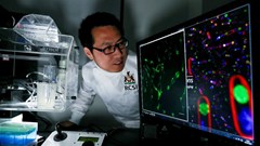 Dr Dan Wu, postdoctoral fellow in the RCSI Department of Chemistry and first author on the paper