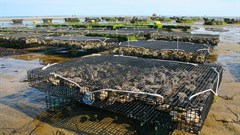 International, pan-African organisations commit to collaboration on blue economy