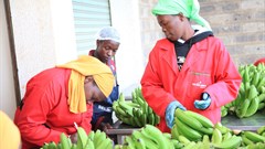 Kenya social entrepreneur wins Commonwealth secretary-general's innovation award