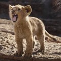 The Lion King roars to life on the big screen in a whole new way