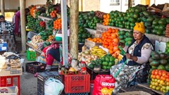 South Africa’s agriculture and food production industries are exempt from the carbon tax - for now. Shutterstock