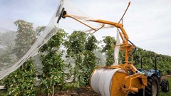 Undercover farming helps overcome climate change challenges