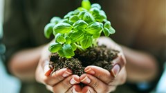 Angola, SA partner to grow agribusiness and ecotourism in Africa