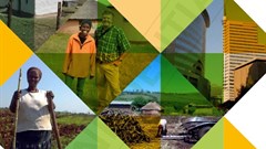 Advisory panel releases final land reform report