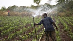 Irrigation earns flood-prone farmers US$4,344 a hectare