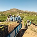 National conference to focus on farmworker struggles