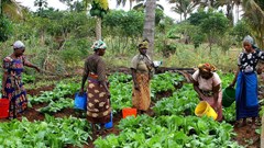 Maza Wanawake Kwanza Growers Association via